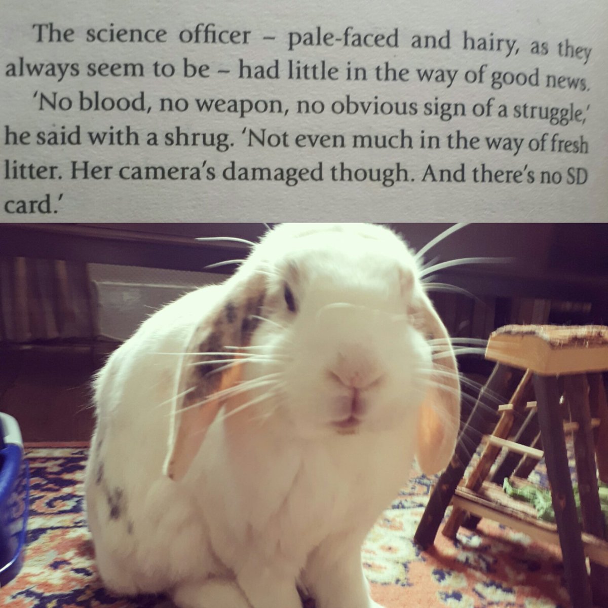 handsomeericbun's tweet photo. #Paulahawkins there seems to be some confusion in #intothewater. I know I tweet about #forensics but it's not me that's the #csi it's my #csimummy but you seem to have described me here "pale faced and hairy" not the majority of CSI's !! https://t.co/sQCjYwlZHs