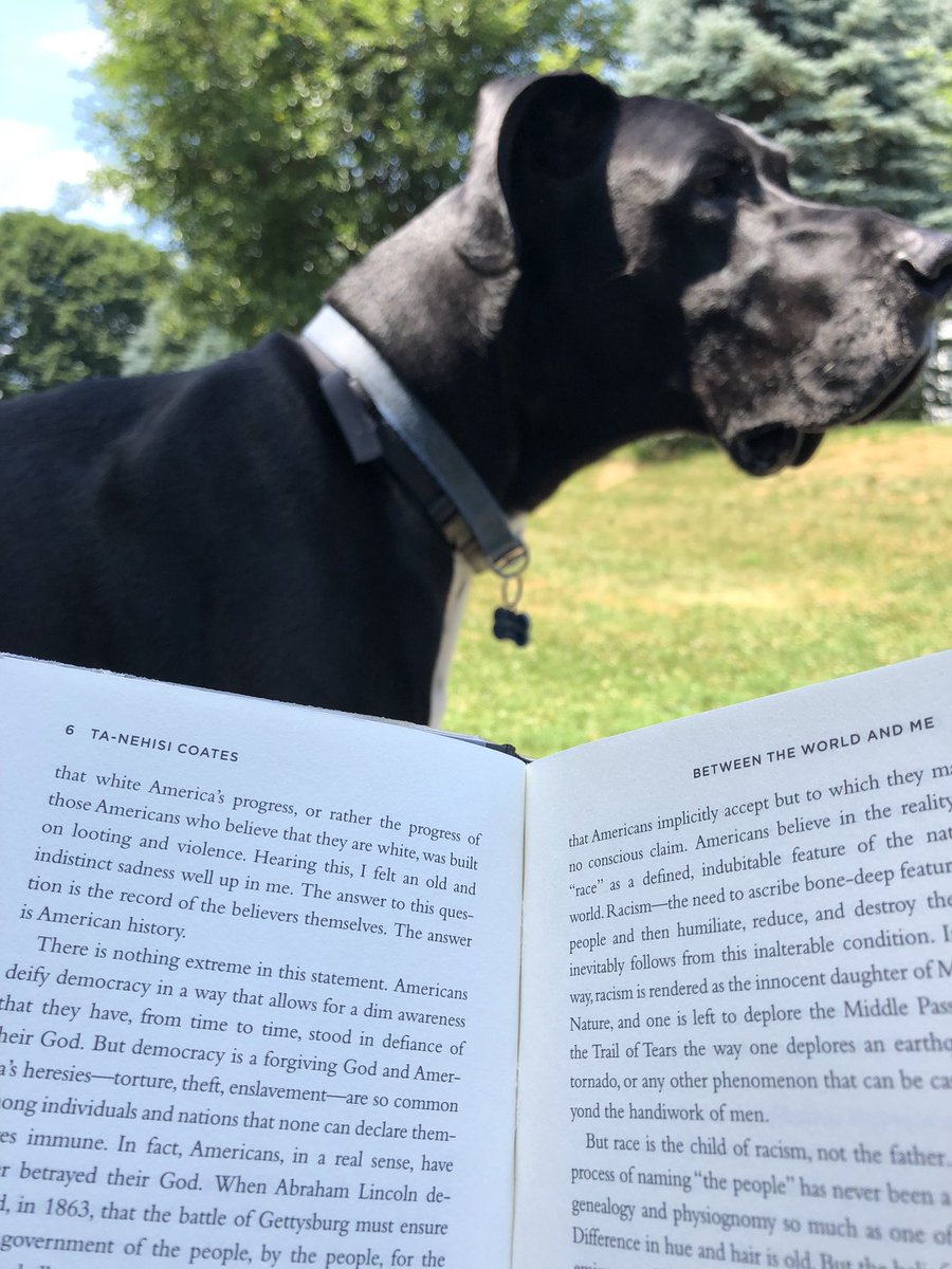 mrsklinkreads's tweet photo. I think I have a picture like this for almost every book this summer #GuardianofKnowledge #GreatDane https://t.co/09u7zuiStl