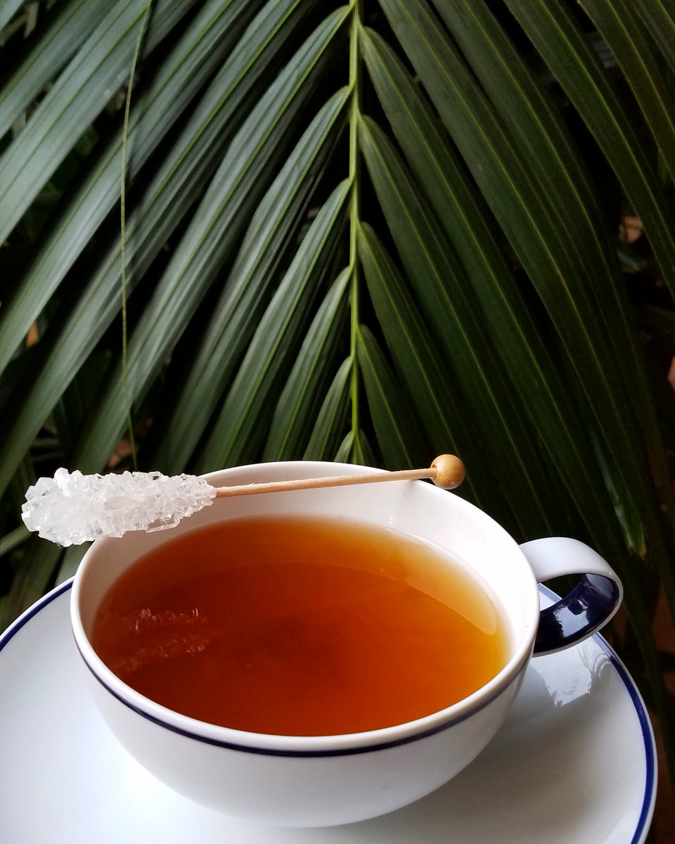 Georgie_BH's tweet photo. Are Mondays not your cup of tea? Georgie will be. #HowToGeorgie #MondayMood

https://t.co/NoGKqvkc6k https://t.co/MOfN3UPY7q