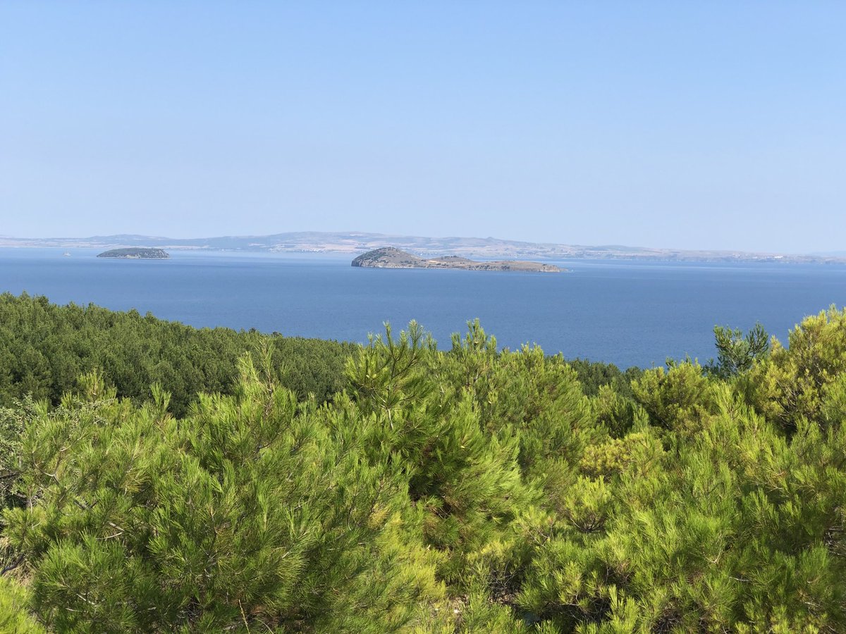 Ahmet Erhan (@baptissay35) on Twitter photo 