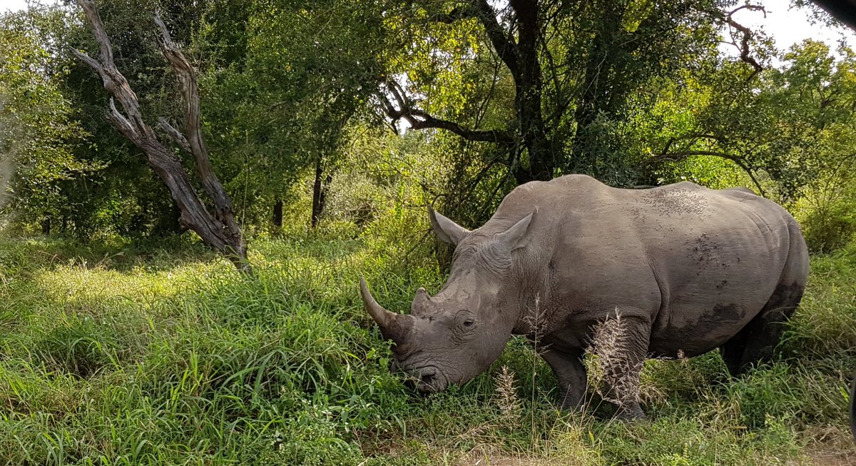 eduoceans's tweet image. For all of us in conservation #ecodepression is real...but time in nature is just what we need to feed our souls and keep #ecohope alive.