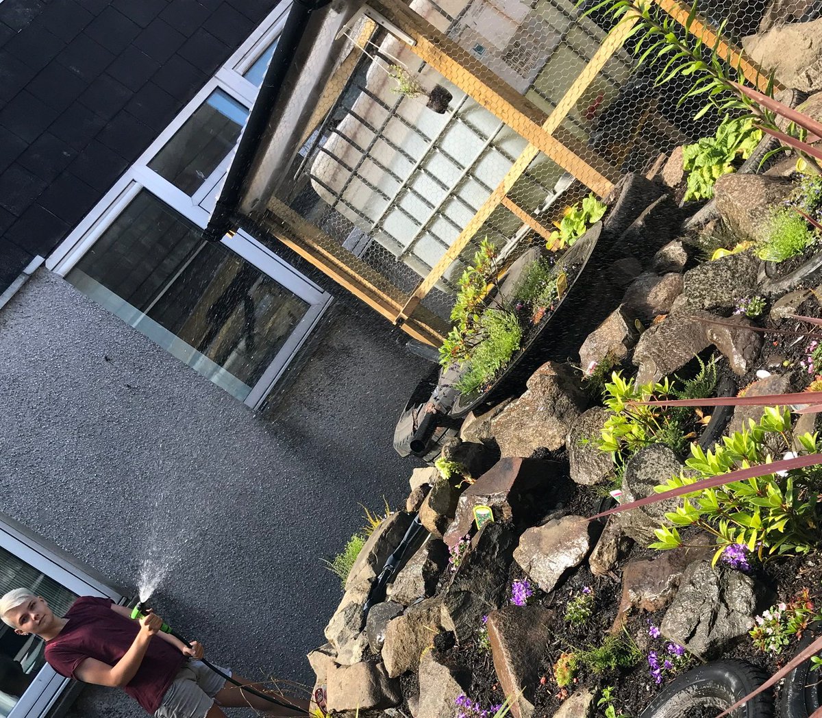StMoChickBees's tweet photo. Harris caring for and loving the rockery whilst Heather cares and loves the chickens @St_Maurice_High #volunteers https://t.co/9ezKZUHlPv