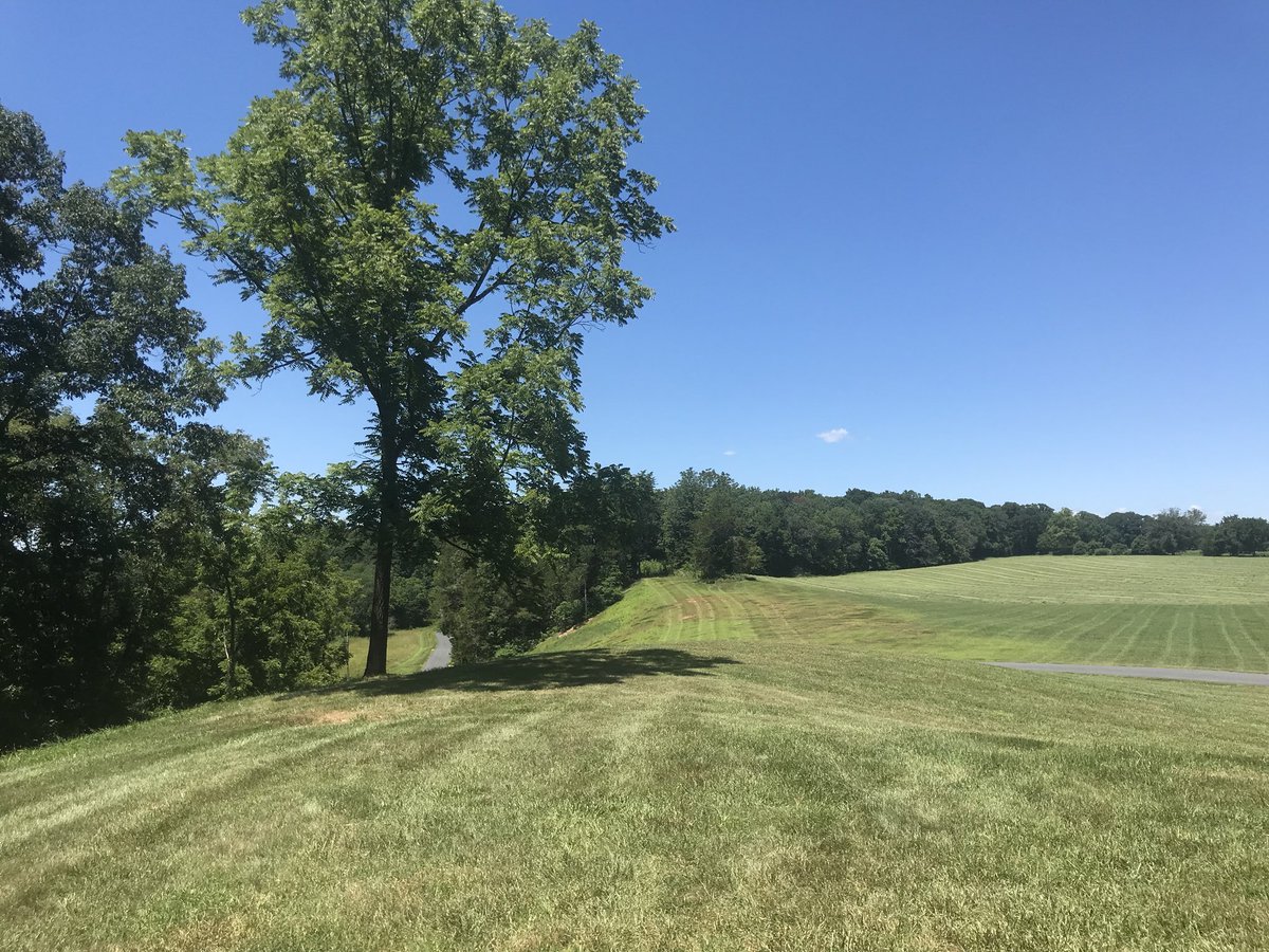 TurkeyRunCville's tweet photo. Beautiful day! https://t.co/PuI9DoGVoT