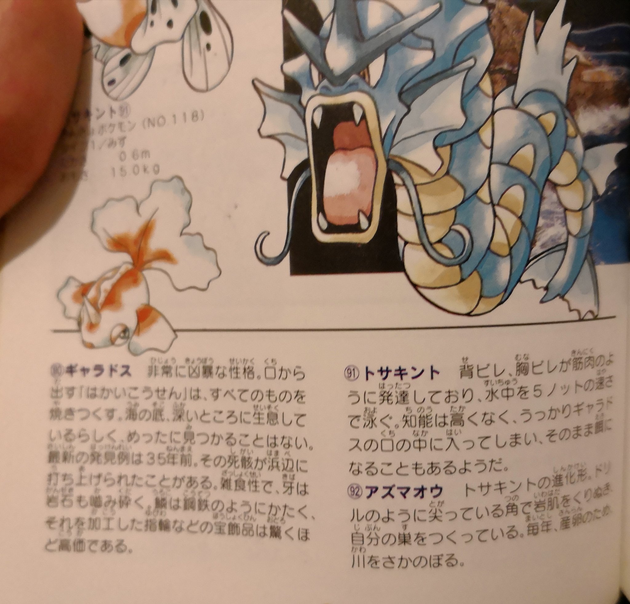 たかさおじさん モンスターボールの原理として 弱ったら縮んで狭い場所に収納される能力 の設定が活きているらしいし 生まれたての時点で適応されたのが タマゴ という保育器かもしれない 野生の繁殖では通常の産卵もしくは胎生出産で そだてや環境