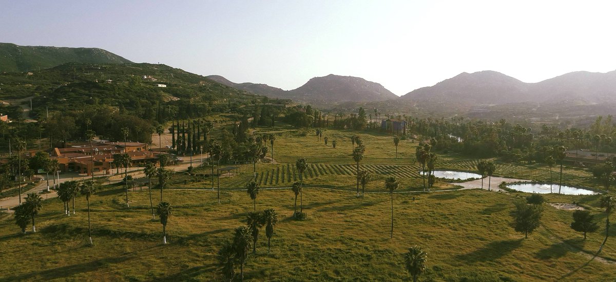 Entra a un lugar mágico😍e invierte en bienestar y en un mejor estilo de vida.Firma tu terreno con $395 USD. 👨‍👩‍👧‍👦
🙋‍♀️¡Disfruta de Rancho Tecate!🐎🍇

ranchotecate.mx/encinos/  👌