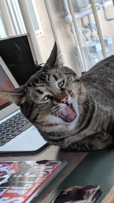 So @LydiaBlackXo took this great picture of Jonesy mid-yawn but it looks like he&rsquo;s screaming into the<a class="tags" target="_blank" title="On Twitter" href="/?out=eyJ0eXAiOiJKV1QiLCJhbGciOiJIUzUxMiJ9.eyJpYXQiOjE3MTk3NzE2OTUsImlzcyI6InR3cG9ybnN0YXJzLmNvbSIsIm5iZiI6MTcxOTc3MTY5NSwiZXhwIjoxNzUxMzA3Njk1LCJyZWRpcmVjdF91cmwiOiJodHRwczovL3R3aXR0ZXIuY29tL0x5ZGlhQmxhY2tYbyJ9.m-oUdLYf3DdieG1oZKWdDrxin_pqfx6mkMz8ejhUN-aFZUws92HxcqpfO5Wu1QGbYUf8o6LIJeGjqLyyEhIQwQ">@LydiaBlackXo</a>