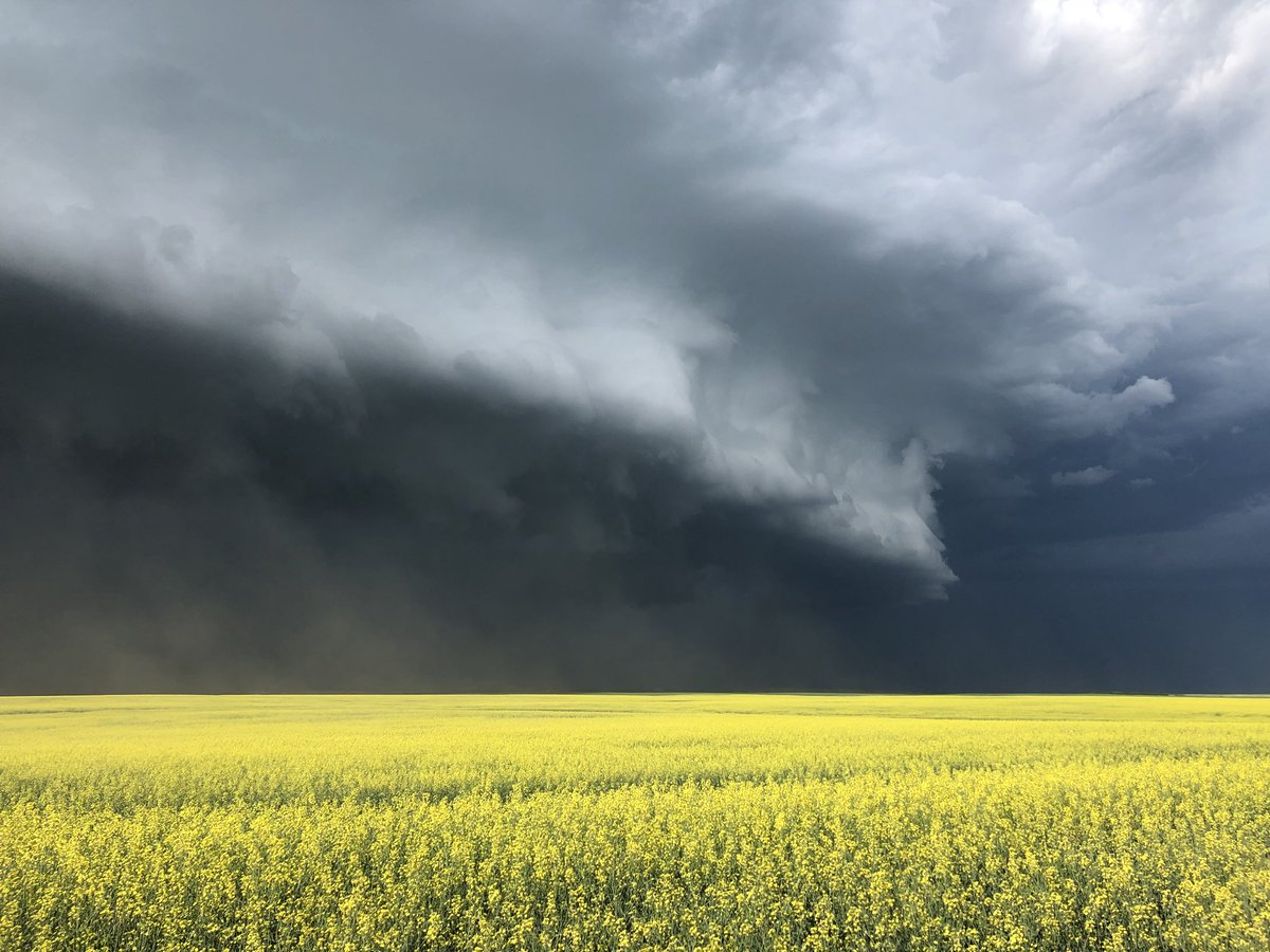SeanSchofer's tweet photo. Conderre, SK. 5:29 #skstorm @PrairieChasers https://t.co/HwhcmdP1eE
