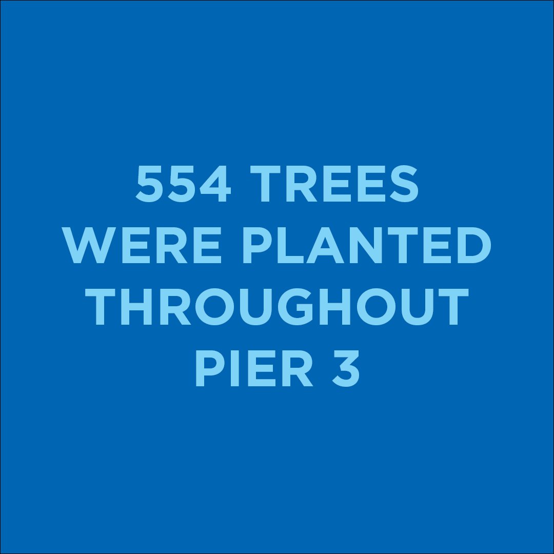 bbpnyc's tweet photo. That's 554 more reasons to be excited about the #PIER3 opening tomorrow! https://t.co/bCZGAslDIZ