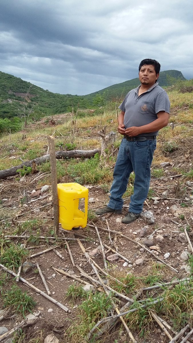Isa69850753's tweet photo. Visita a Módulo y Áreas de extensión como seguimiento al acompañamiento técnico en la localidad de San Miguel Totolapa municipio de Huamuxtitlan. Gro.
Asesor técnico. Biol. Ma. Isabel Dominguez Morales.
#PROAGROCapacita 
#HubPCTO 
#CIMMYT https://t.co/uNGOgYASnL