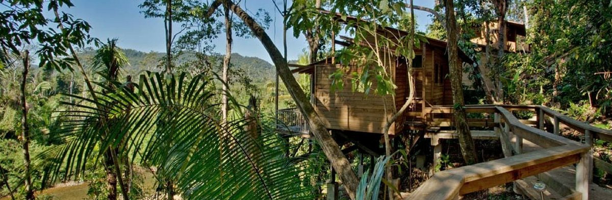 *PRICE-DROP* Toronto to Belize City from $318-$333 Round-Trip! dailytriphack.com/tour/price-dro…
#flightdeal #toronto #belize #yyz #traveldeal #caribbean #treehouse