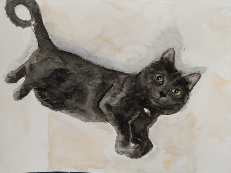 Finch_Minis's tweet photo. Here are two #watercolor works I did of my beautiful cat Bailey! One is a sketch when she was begging, and another is a detailed view of her close up. I do commissions as well! #painting #CatsOfTwitter #hobby 😺🎨🖌️🖼️ https://t.co/7KwQOtoCJT