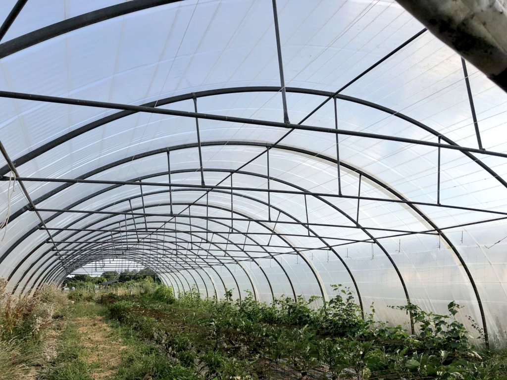 Avec @BenoitHamon, visite de la ferme péri-urbaine bio de Magny-les-Hameaux, en compagnie de son maire @BertrandHouillon. 

Quand les élus locaux accompagnent les projets alternatifs, ça paye ! #TFAA