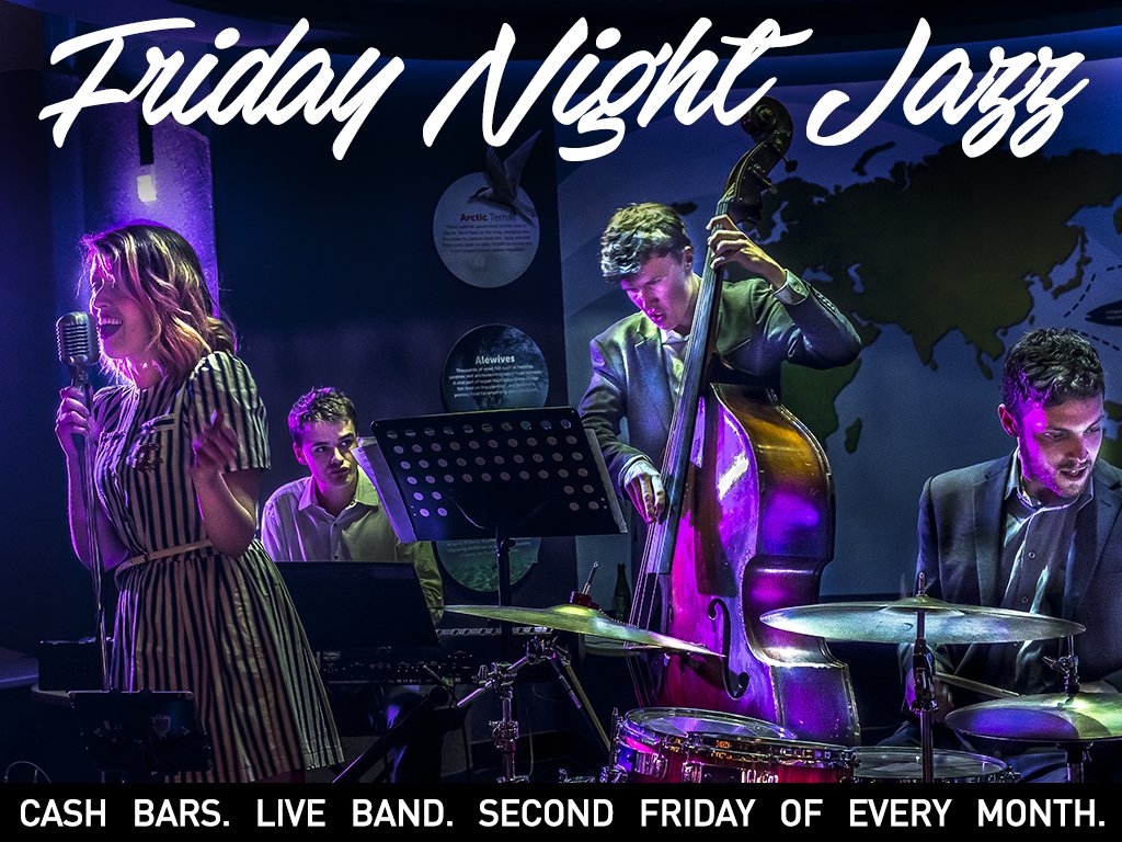 RipleysAquaCA's tweet image. This week Friday Jazz Night is back! Live music, bars, and 20,000 aquatic animals all for the cost of our current Sharks After Dark or Express Anytime ticket. Will you be swimming by? Ticket here: bit.ly/2N2Rygu