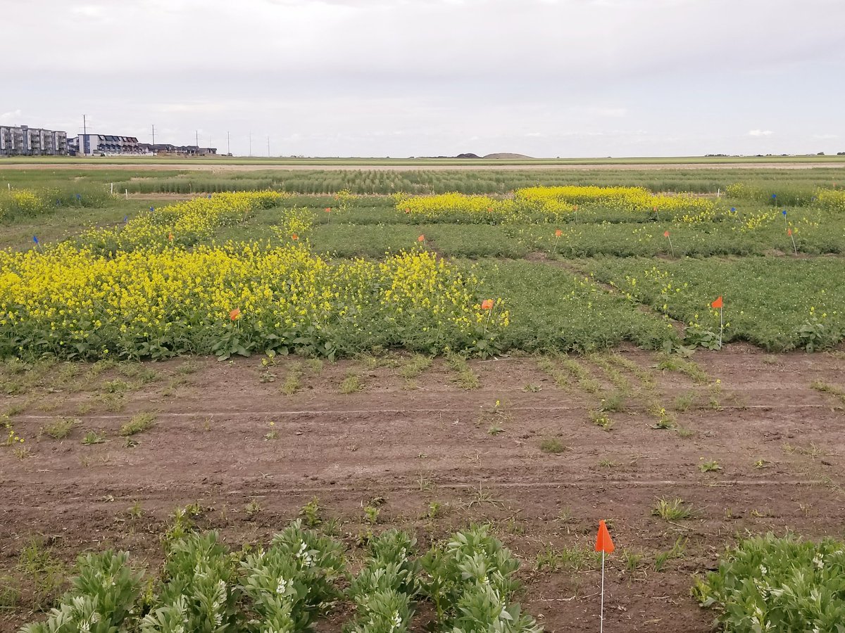 Eric Johnson tweet media