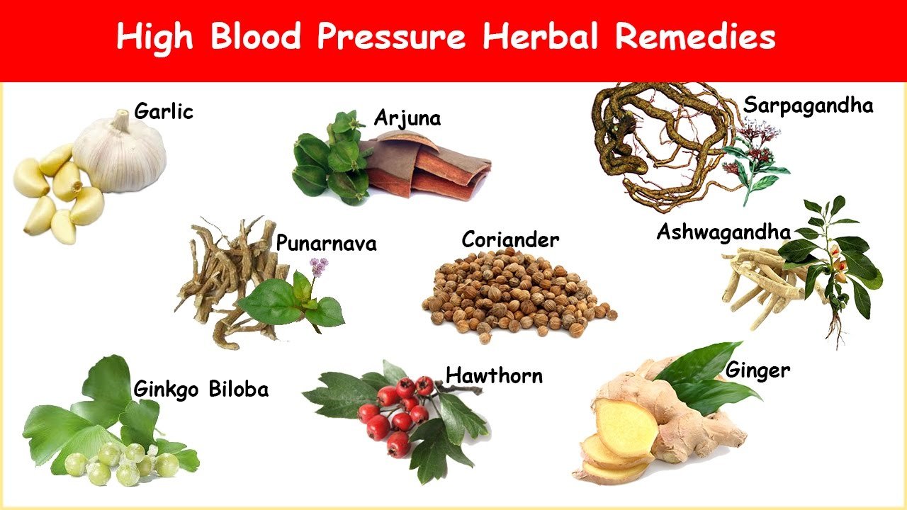 Blood pressure herbal outlet