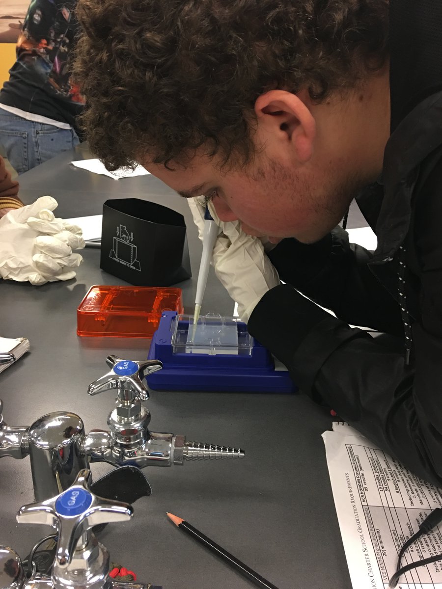 genesinspace's tweet image. The #LabinaBox loaner program has brought free hands-on biotech to &amp;gt;1,200 students this school year. Here&apos;s to many more in 2018/19. 
genesinspace.org/blog/lab-box-e…