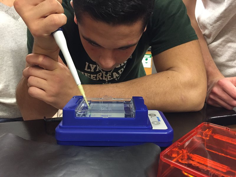 genesinspace's tweet image. The #LabinaBox loaner program has brought free hands-on biotech to &amp;gt;1,200 students this school year. Here&apos;s to many more in 2018/19. 
genesinspace.org/blog/lab-box-e…