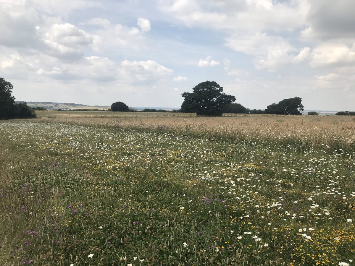 JackLindfield's tweet photo. A good day @DunstableDwnsNT learning about converting arable land  and managing meadows https://t.co/WJLeiHg81Z
