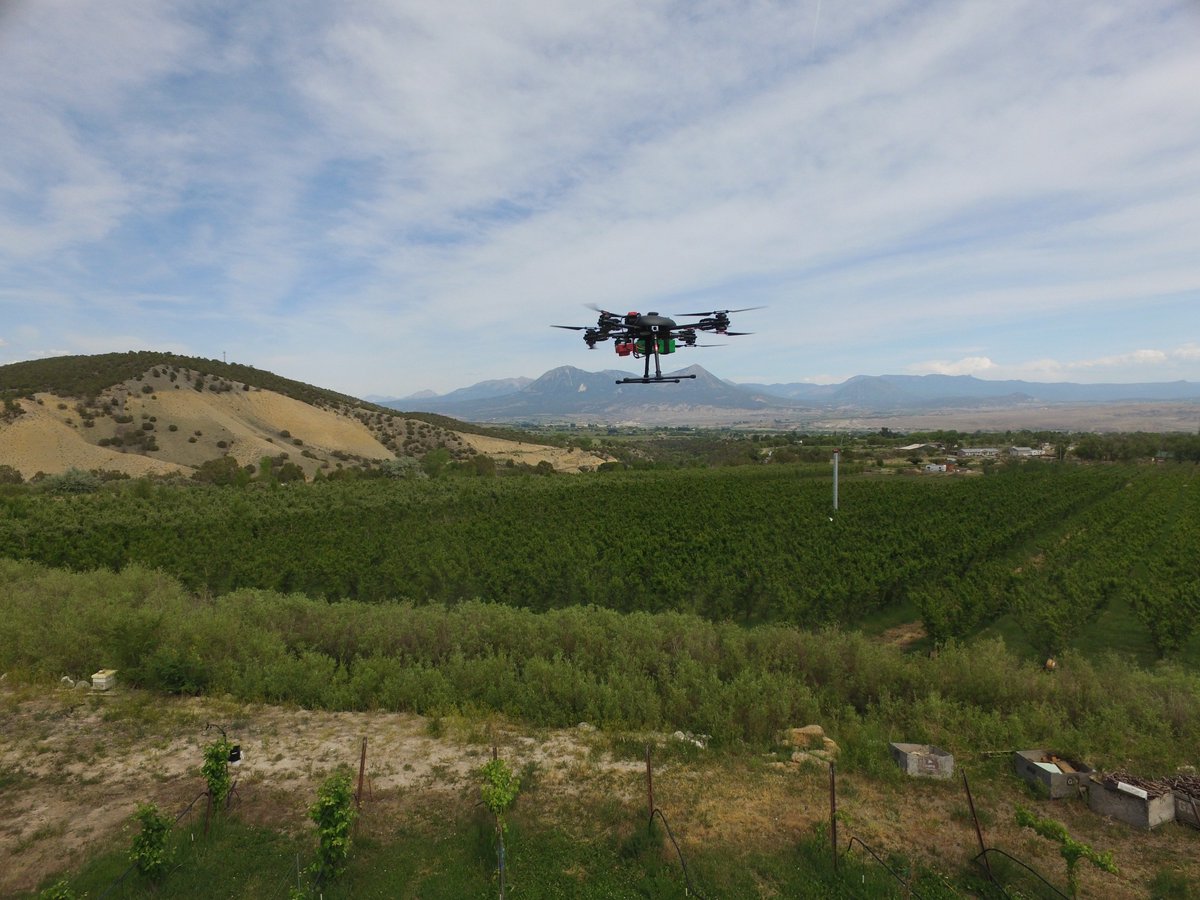 ArborDrone's tweet photo. This imagery is from the @MicaSense #RedEdgeM sensor at ~80 meters AGL (if I remember correctly). https://t.co/NyjRkUbgfz