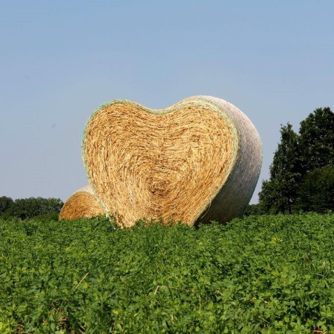 thepatchseries's tweet image. 100 backers! Thanks so much-- ya’ll are 💯!! We have 4 days left to hit our goal:  kickstarter.com/projects/10087…