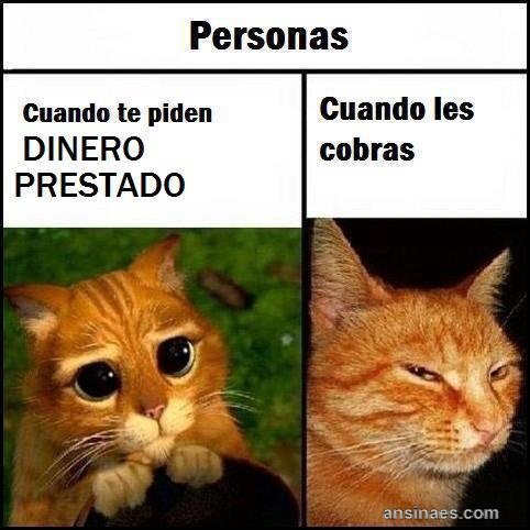 losinusuales's tweet photo. SUELE PASAR 🤓🤓 https://t.co/GDJAySuhbB