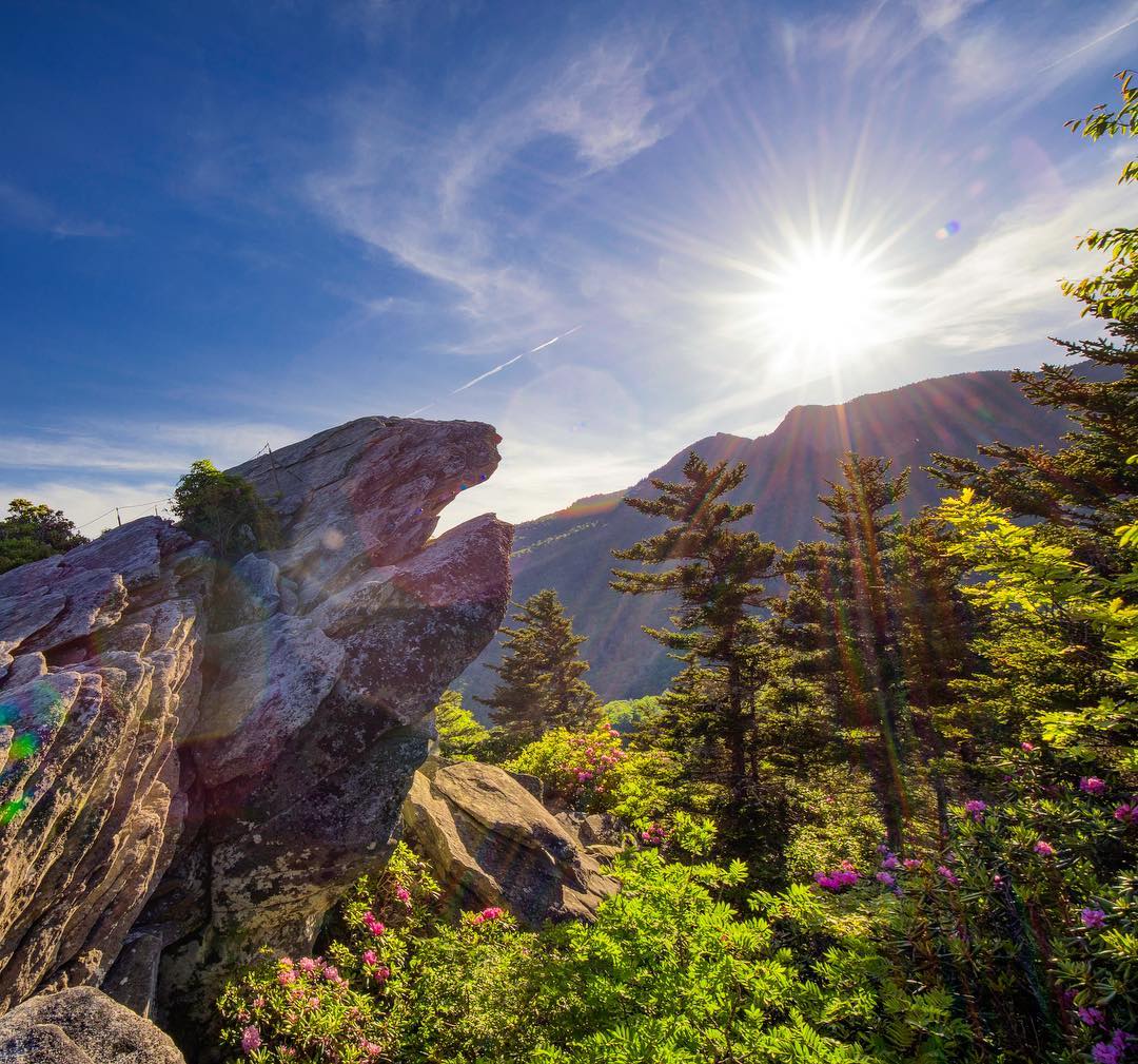 AOAOutdoors's tweet photo. Raise your hand if you had an adventurous weekend! Then tag us: #AmericaOutdoors
PC: @JPotterPhoto
.
.
#FindYourGuide #Explore #outdoorindustry #outdoorrecreation #adventurevacation #familyvacay #Getoutside #findyourpark https://t.co/sKbGXRqc2O