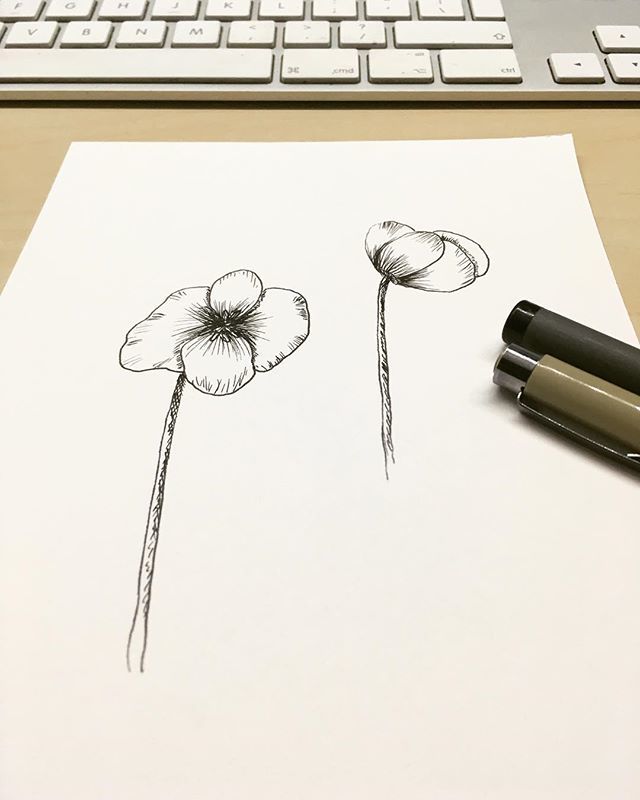 pixeldiva's tweet photo. Day 96 of #pixdoes100daysofskillshare with Day 8 of @paperwand’s How to Draw Wildflowers - Ink Floral Illustration class.
Exercise 7: Golden Poppy, which I apparently didn’t post last night. Whoops!
#10minsbeforebed #art #drawing #sketching #creativepr… https://t.co/hXthU1qClF https://t.co/moMdYiM57R