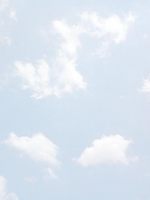 ☽ tweet media