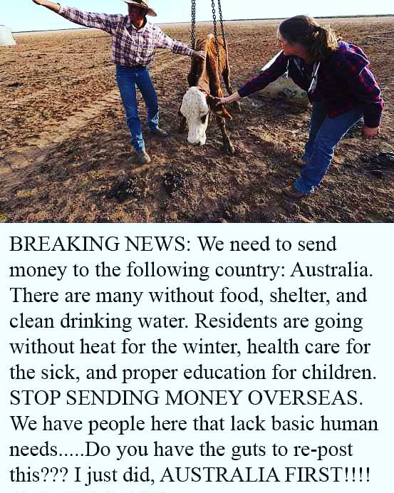 AussiesSptYrLclFrmer (@aussiessylf) on Twitter photo 