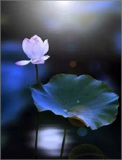 The most important thing you can own is Inner Serenity. 
Because it's that something that allows you to face and overcome everything.

#InnerSerenity #ZEN 
#InspireThemRetweetTuesday