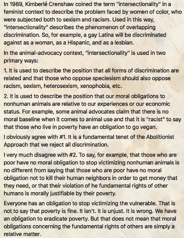 On the Meaning of "Intersectionality":