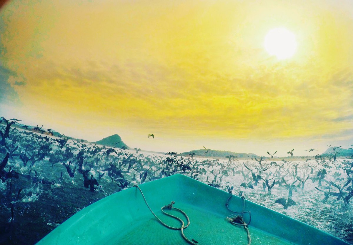 Journilicious tweet media