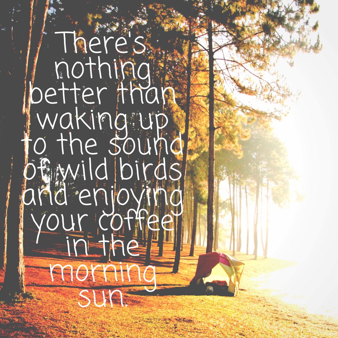 campingcot's tweet photo. Happy Monday everyone!πβοΈβοΈ
#mememonday #stressfree #coffeeaddict #inspiration #happiness #camping #campingcot #outdoors #optoutside #getoutside #sleepunderthestars #campinglife #campingtrip #happymonday https://t.co/Bj4gm5zZ74