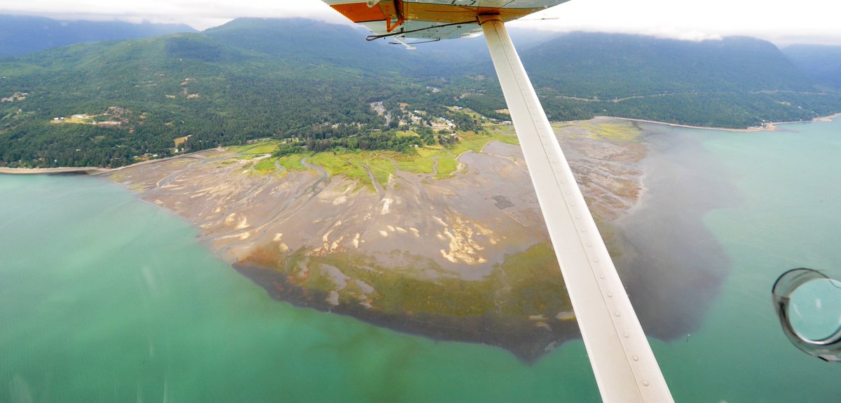 EcologyWA's tweet image. Other observations in our latest Puget Sound observations: A large Noctiluca bloom extends across the South Central Basin of Puget Sound. Macroalgae is piling up on beaches in South and Central Puget Sound and the Whidbey Basin. Check out the full report bit.ly/june18eops
