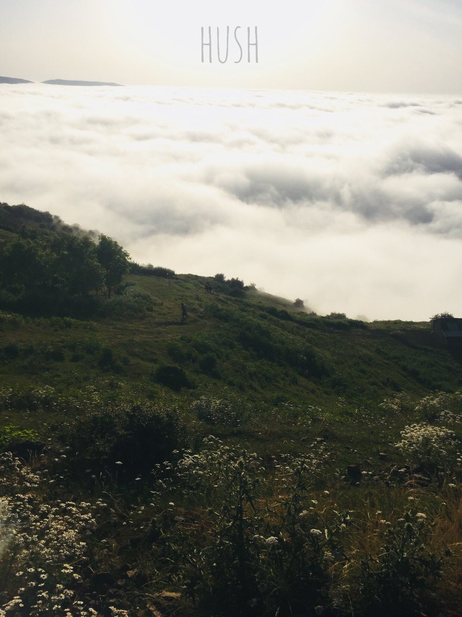 Babk (@babak_bashiri) on Twitter photo 