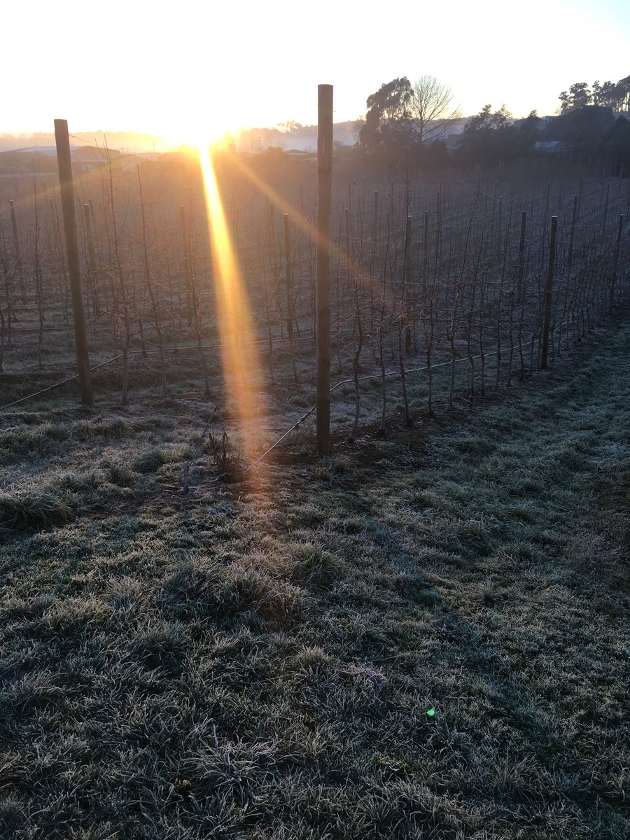 Brrr. Minus 1.7 here this morning. Going to be an awesome day.