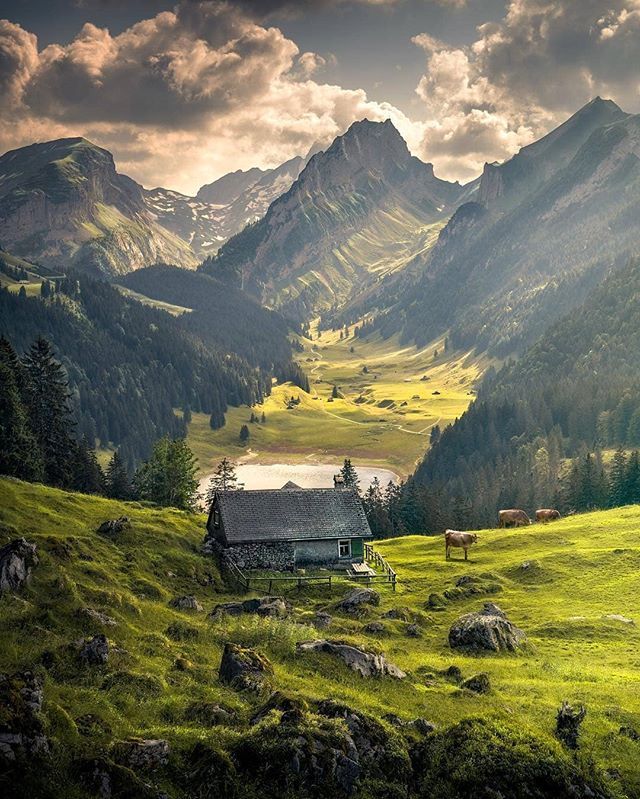 mthr_world's tweet photo. Switzerland
by: @ilhan1077
#switzerland #mountaineering #travelawesome #hiking #naturelovers #naturegram #modernoutdoorsman #nature_seekers #nature #travel #wanderlust #natureporn #nature_obsession #naturelove #theoutbound #landscapelover #landscapehun… https://t.co/MXYXmfu9JZ https://t.co/j2lIYYjMNQ
