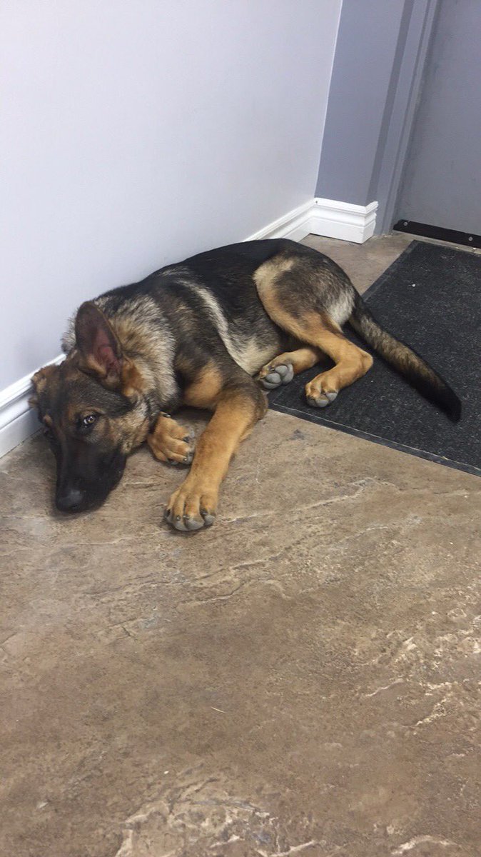 Kyle Weber tweet media