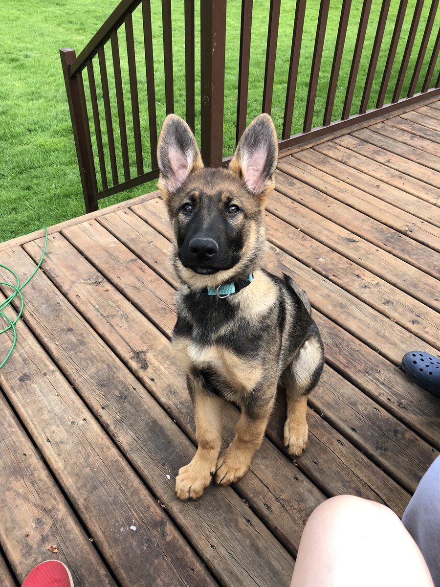 Kyle Weber tweet media