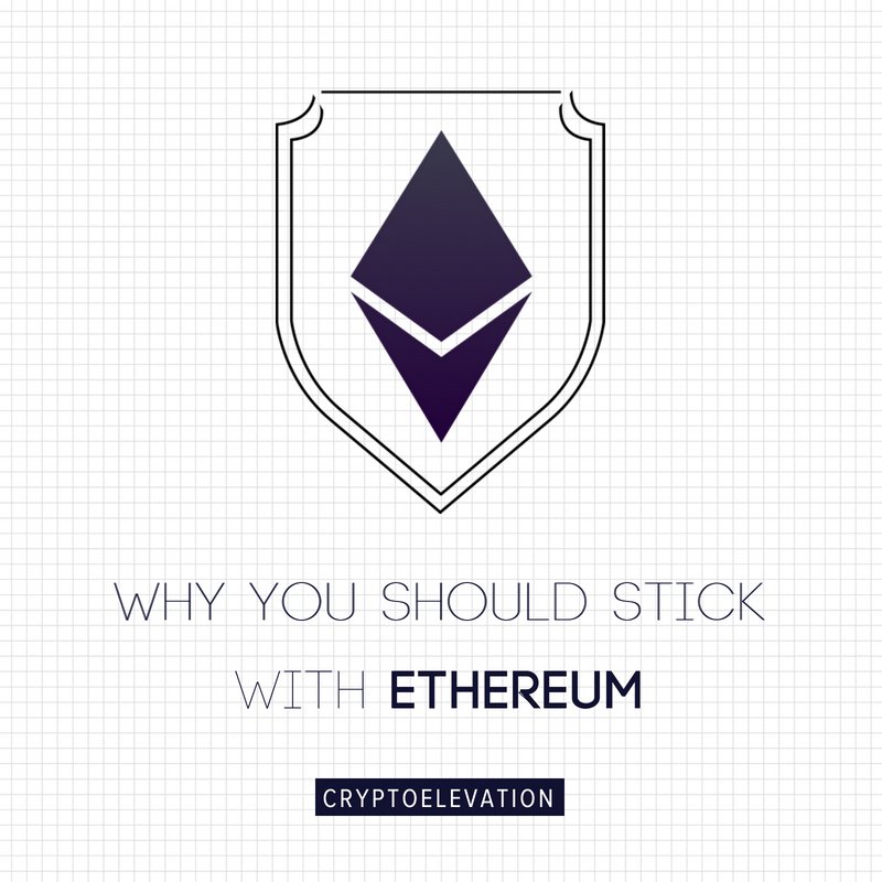 Crypto Elevation tweet media