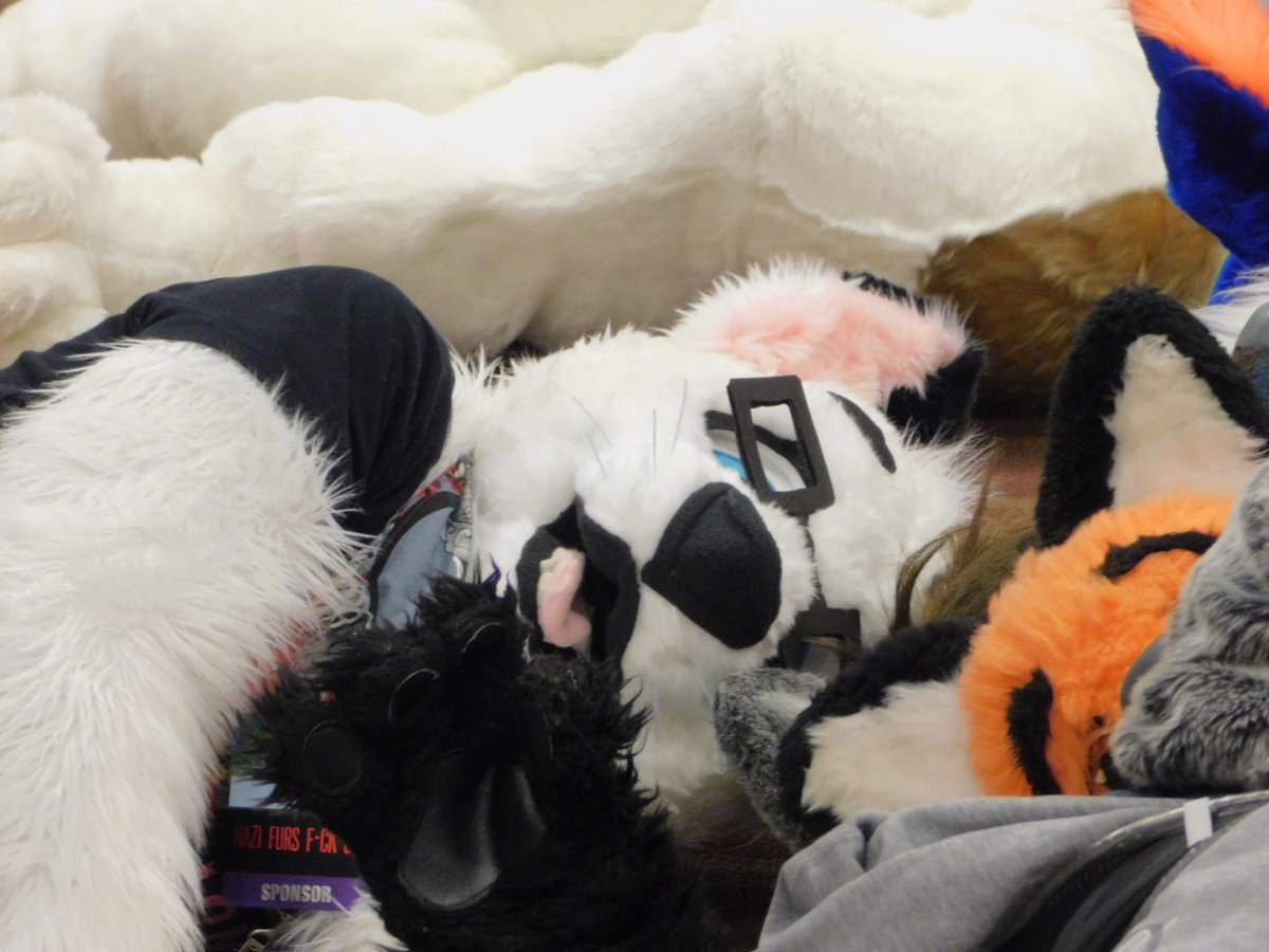 RussellTehFox's tweet photo. So I’m still getting pictures of me in suit from friends and so far I’ve found a current favorite! I got caught in a fur pile XD
@SkyeTheDerpsky and @vexthehuski found me just chillin.
#Anthocon2018 #anthrocon https://t.co/2Y0r4AjoQi
