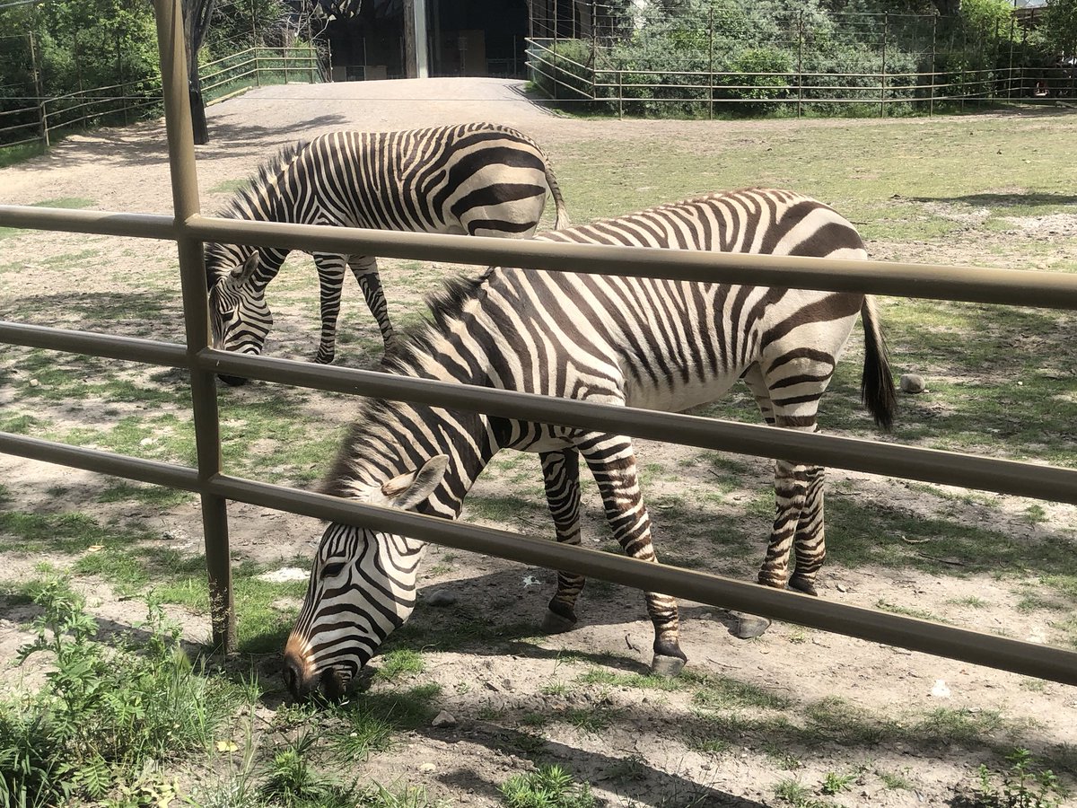 Coupons for calgary zoo 2019