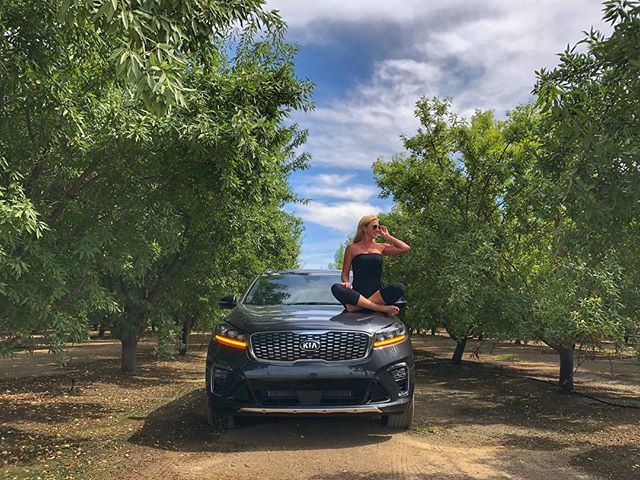 OCMomBlog's tweet photo. Making friends with the farmers in Central California #KiaFamily #KiaPartner https://t.co/zNDpspq2XJ