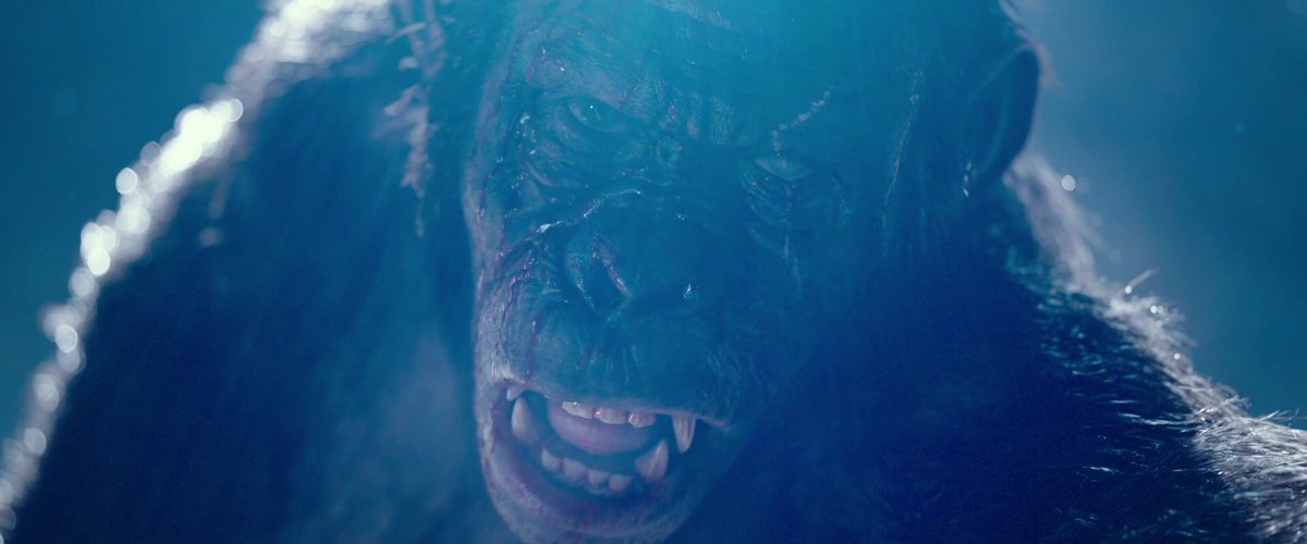 #MonsterKidMonday: #TobyKebbell as the ghost of #Koba in #WarForThePlanetOfTheApes. All I could think of was how haunting he is & how much I wanted more of him. Phenomenal digital character work by @Weta_Digital. PS, you guys should've won!

#PlanetOfTheApes #WetaDigital