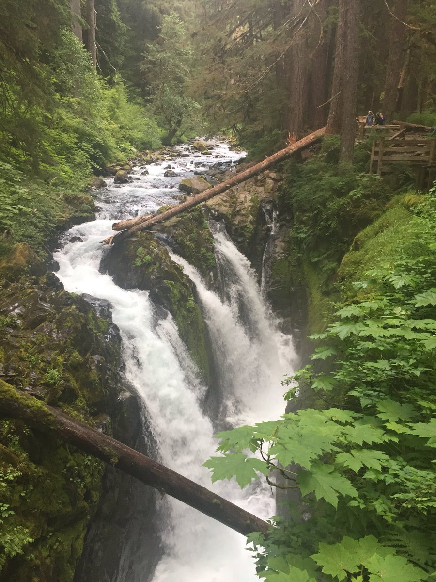 SAdrihan's tweet photo. Olympic National Park is A-amazing!!! Mountains, beaches, rainforests, Waterfalls! Sol Duc Falls is magnificent! I found my park! #protecandpreaerve @eddiebauer @ALTNPS #WhyIHike #contest https://t.co/zZNZYemLCO