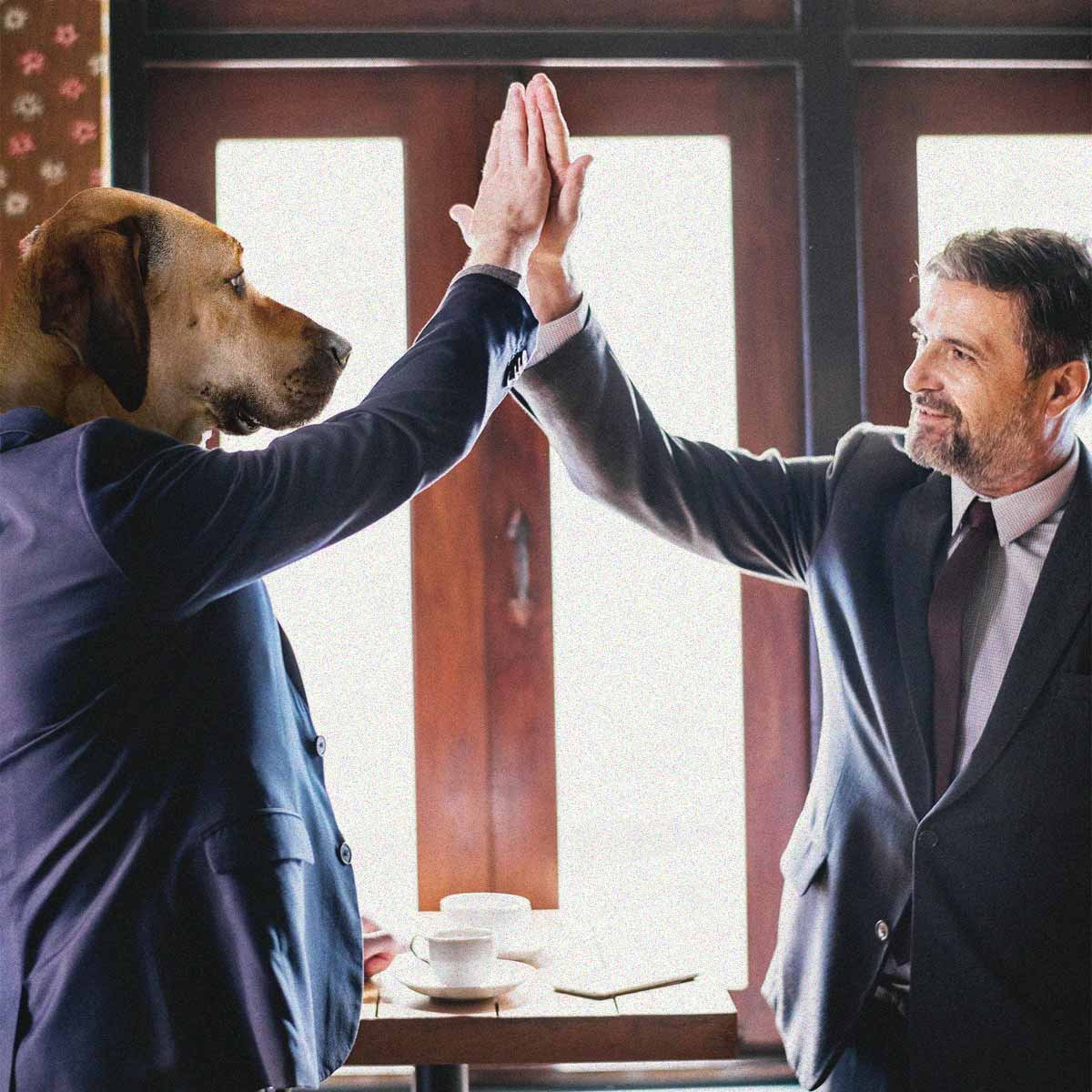 Spend more time on things that matter to you. Everman is a brand of classic menswear essentials that never change. Made for men who play hard and work smart. Or just hate shopping. Exclusively available at evermanapparel.co.za with free next-day deliveries and free returns.