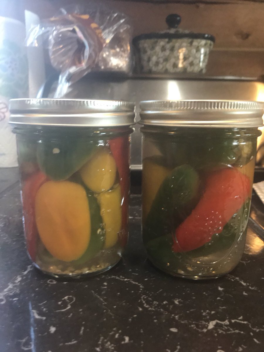 BareDPT's tweet image. Southern Pepper Sauce thehighplainshomesteaders.com/2018/07/10/sou…