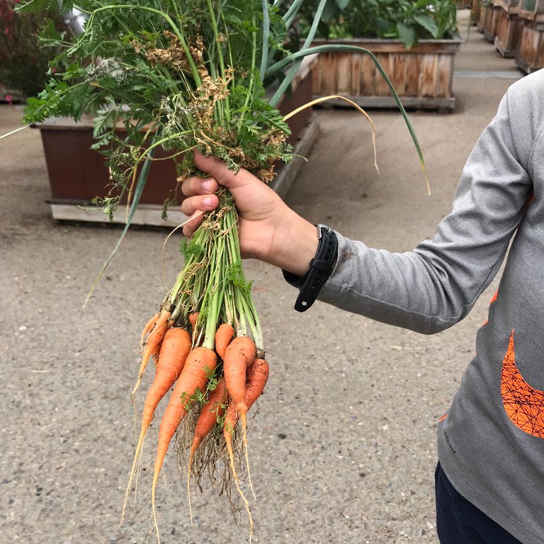 Humane Smarts tweet media