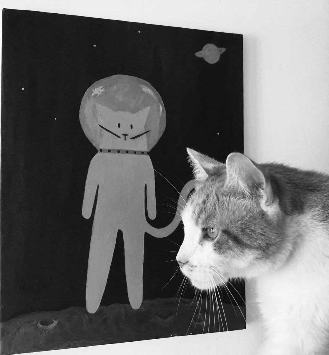 Mageina's tweet photo. Happy birthday Oh Kitten, my Kitten!
To many more adventures, thank you for sharing your life with me!
#space #cat #SpaceCat #SpacemanRalph #CatsOfTwitter #catsofinstagram #birthday #Kitten https://t.co/JSSYIpnq5Q