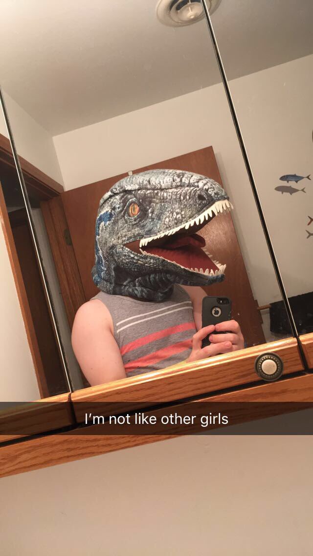 TreeTheWolf's tweet photo. #JustDylanThings https://t.co/HJtouZG2go